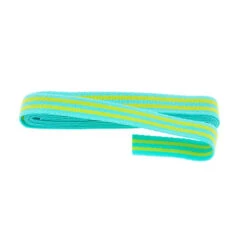 Tula Pink 1" Webbing - Classic Lime And Bright Aqua