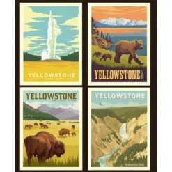 National Parks - Yellowstone Pillow Panel
