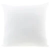Soft Touch Pillow - 20" X 20" 2 Soft Touch Pillow - 20" X 20" -Crafty Haven soft touch pillow 20 x 20 wst20 fairfield 83d5c6