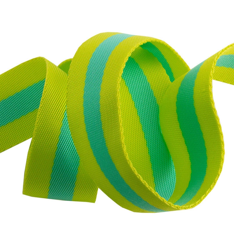 Tula Pink 1 1/2" Webbing - Classic Lime And Bright Aqua - Image 2