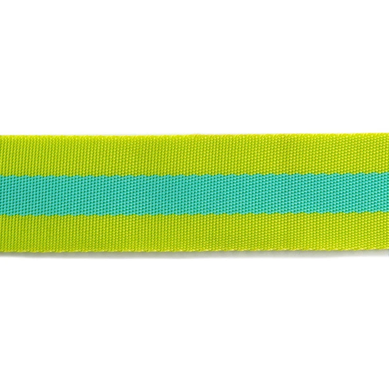 Tula Pink 1 1/2" Webbing - Classic Lime And Bright Aqua