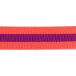 Tula Pink 1 1/2" Webbing - Watermelon And Plum